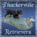 Integrity of the breed is our mission. Labrador Retrievers are wonderful family dogs.  We breed and train for AKC & UKC Events